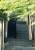 Stairs for bears in Juneau!