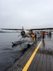 Sea Plane