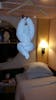 Hanging Monkey in Stateroom