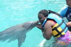 Dolphin Push/pull, Grand Cayman VJ