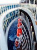 Regal Princess SeaWalk