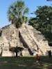 Chacchoben Mayan ruins