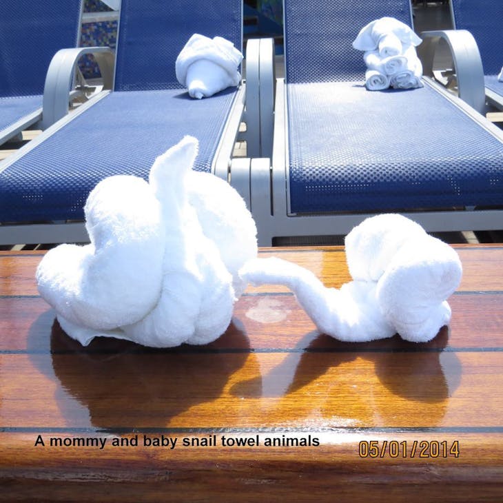 Towel Animals on the Lido Deck - Carnival Liberty