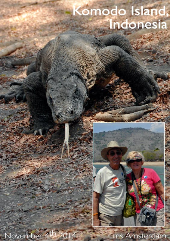 Komodo Island - Amsterdam