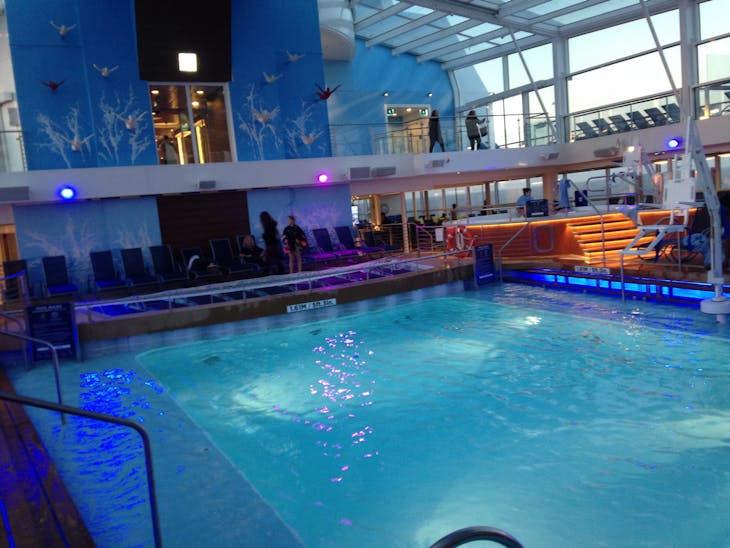 Quantum of the Seas Pool - Quantum of the Seas