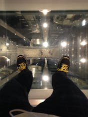 Quantum of the Seas Glass Floor