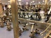 Quantum of the Seas Gym