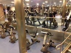 Quantum of the Seas Gym