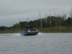 Airboat on the fly--We took Everglade airboat excursion