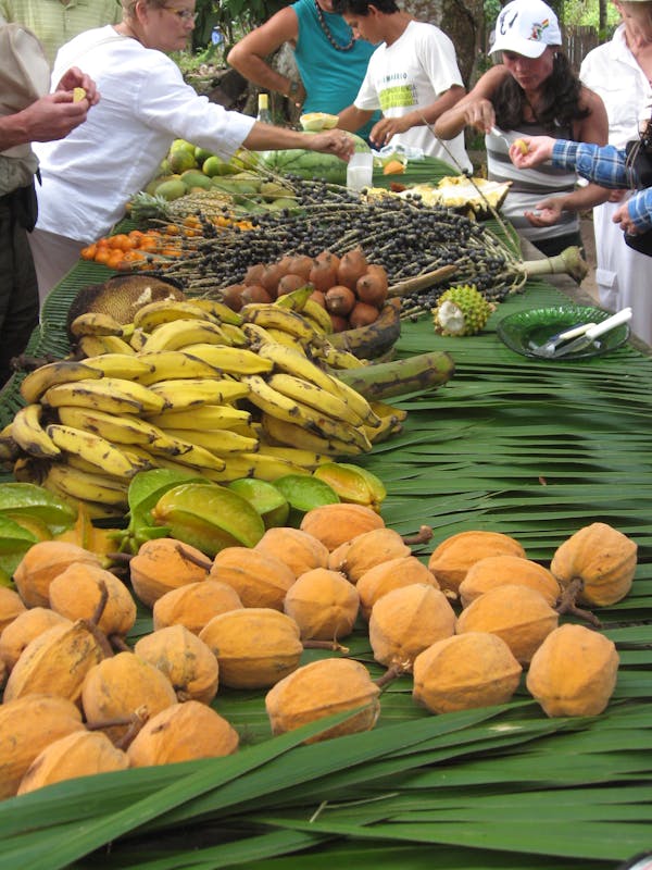 Bounty from the land, at village market on Amazon - Seven Seas Navigator