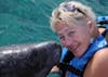 cozumel manatees