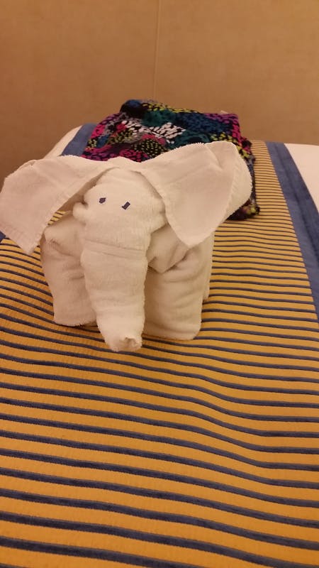 We had a different towel animal each night!  - Carnival Sunshine