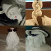 Towel Animal