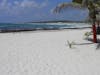 Beach East Coast Cozumel