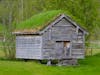 Traditional Norse roof