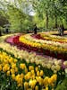 Keukenhof Gardens