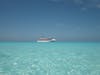 Love Half Moon Cay