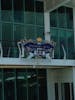 Freedom of the Seas crest on the pool deck.