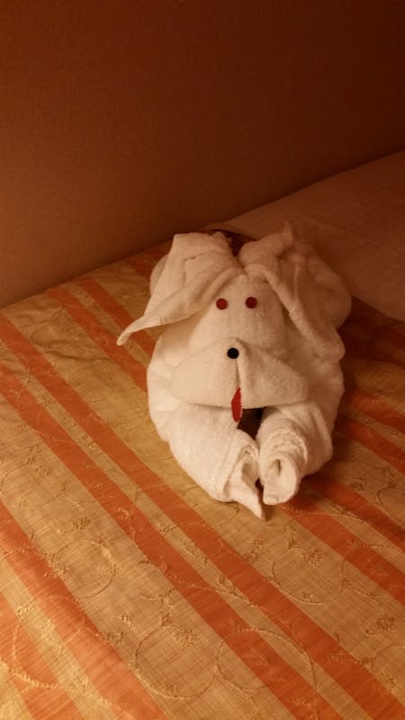 Carnival Miracle cabin 7130 - creative towel animals everyday
