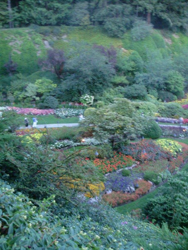 Butchart Gardens - Norwegian Pearl