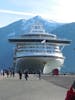 Bow of the Golden Princess