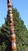 Totem Poles Stanley Park