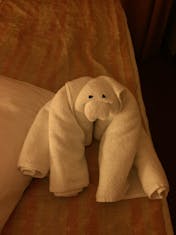 towel animals every night
