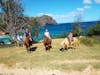 Horseback riding on Kauai