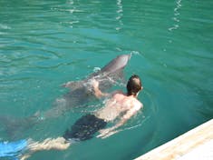 Freeport, Grand Bahama Island - Freeport Dolphin excursion was the BEST!!!