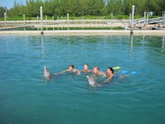 Freeport, Grand Bahama Island - Did I mention the Dolphin excursion in Freeport was the BEST!! :)