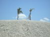 Great Stirrup Cay