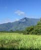 Kauai landscape