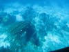 View from Submarine window