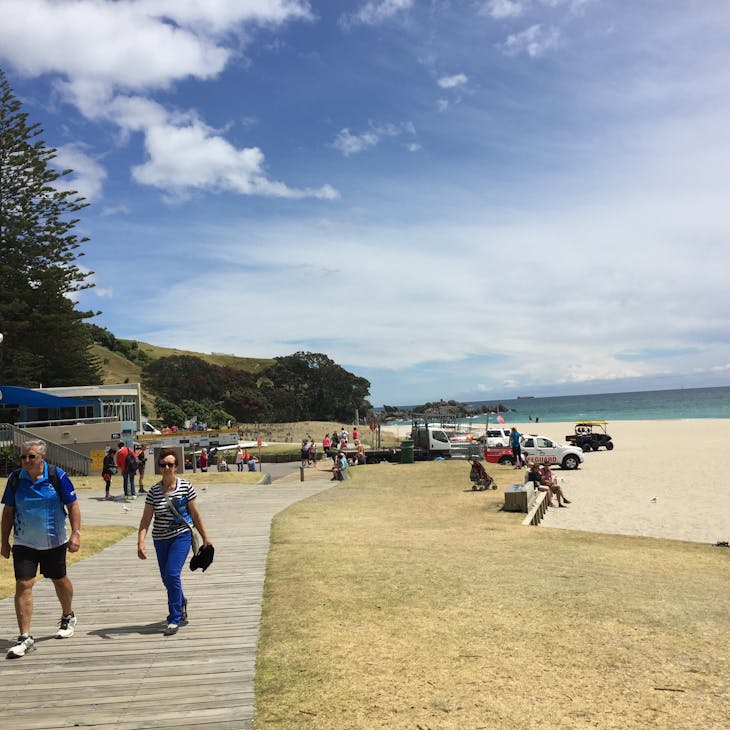 Akaroa, New Zealand - Beach New Zealand
