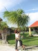 grounds at Hacienda Antigua, Cozumel