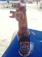 Bridgetown, Barbados - Their delicious beer! Copacabana Beach Bar