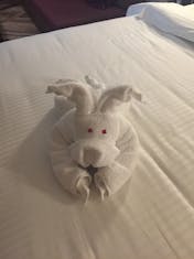 Towel Dog created by ALFIE