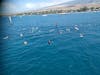 snorkeling, Maui