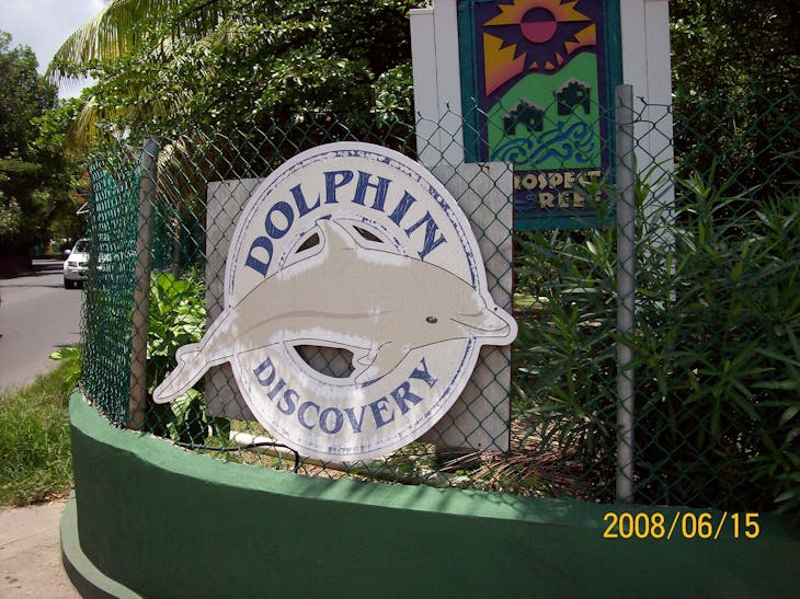At the dolphin discovery. - Carnival Miracle
