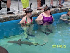 Charlotte Amalie, St. Thomas - My sister and I swimming with sharks at Coral World