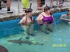 My sister and I swimming with sharks at Coral World