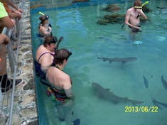 Charlotte Amalie, St. Thomas - My sister and I swimming with sharks at Coral World.