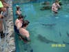 My sister and I swimming with sharks at Coral World.