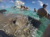 Stingray kisses