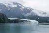 Glacier Bay Alaska