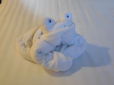 Eurodam towel frog