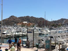 The harbor in Cabo