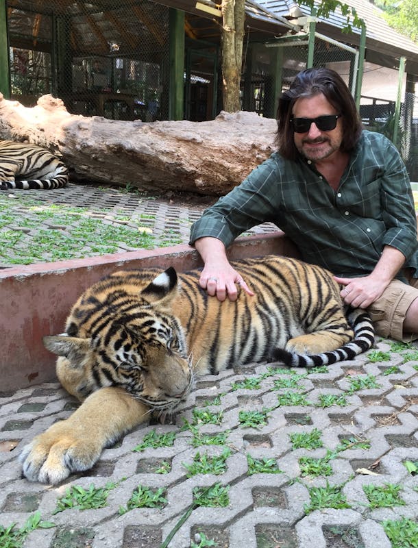 Tiger Kingdom, 9 month old, Phuket Thailand. - Amsterdam