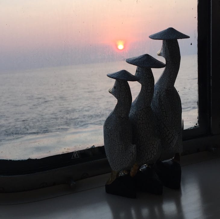 My ducks from Singapore watching an early sunrise from my cabin on a seaday. - Amsterdam