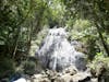 Rain forest waterfall 